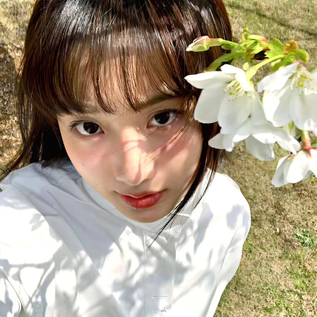 菜单（影片）